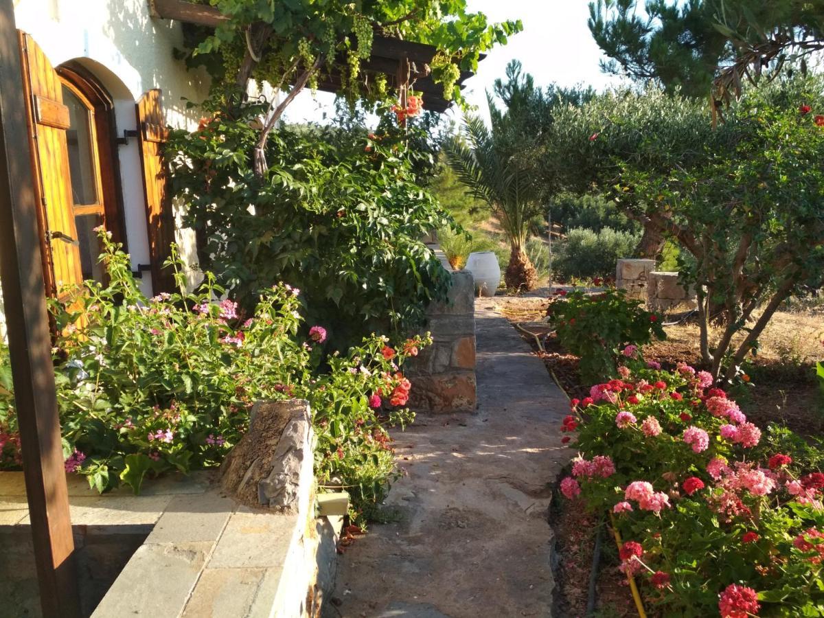 Porto Heli Apartments Palekastro Bagian luar foto