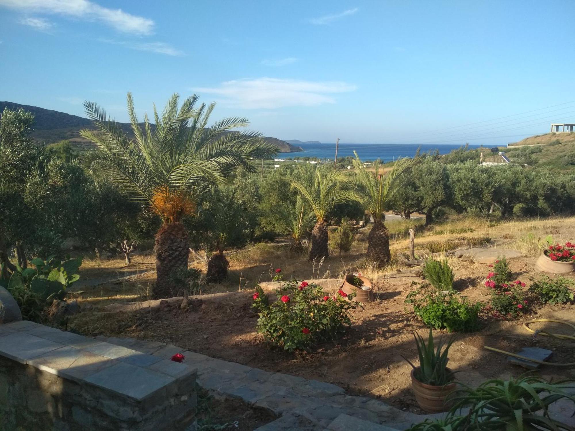 Porto Heli Apartments Palekastro Bagian luar foto