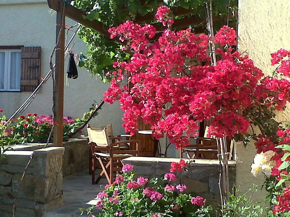 Porto Heli Apartments Palekastro Bagian luar foto